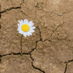 La resiliencia: ¿qué es y cómo podemos ejercitarla? resiliencia
